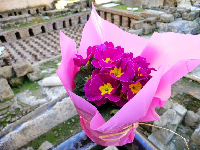 Blooming Mothers' Day