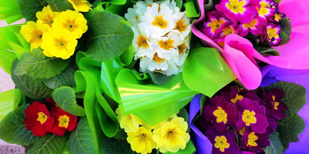 Blooming Mothers' Day