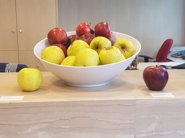 Apple Week 2018