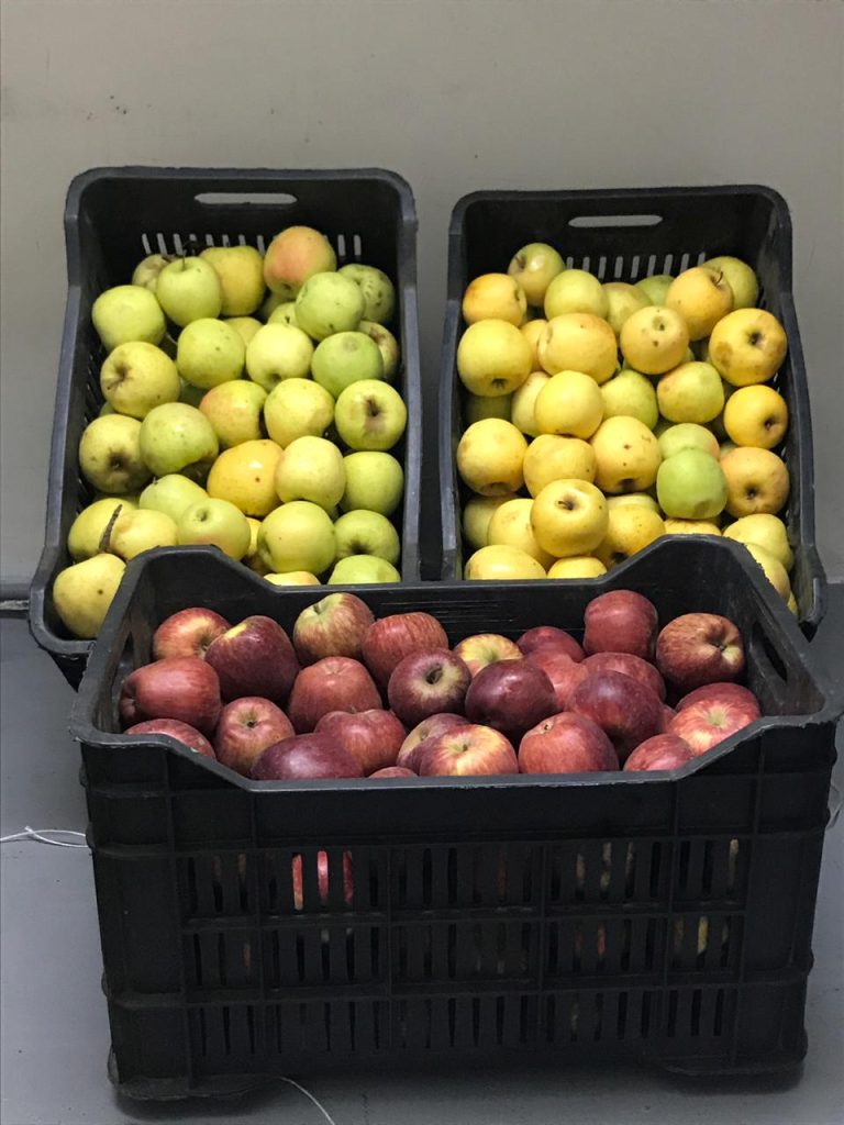 Apple Week 2018