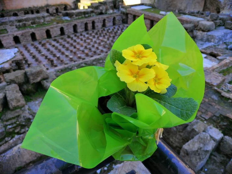 Blooming Mothers' Day